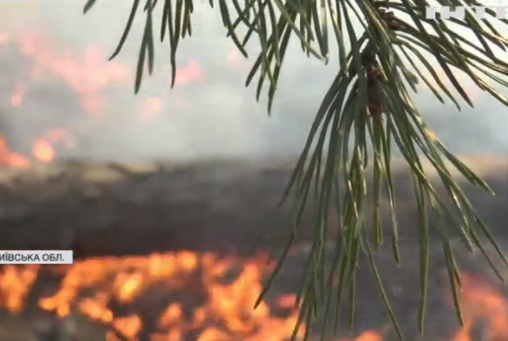 Україну затягнуло димом лісових пожеж: коли це закінчиться?