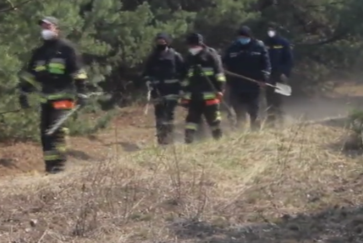Пожежі в Україні: в зоні лиха працюють дві тисячі вогнеборців