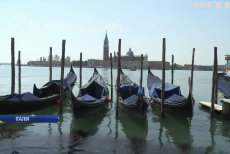 У канали Венеції повернулися восьминоги, медузи та камери вчених