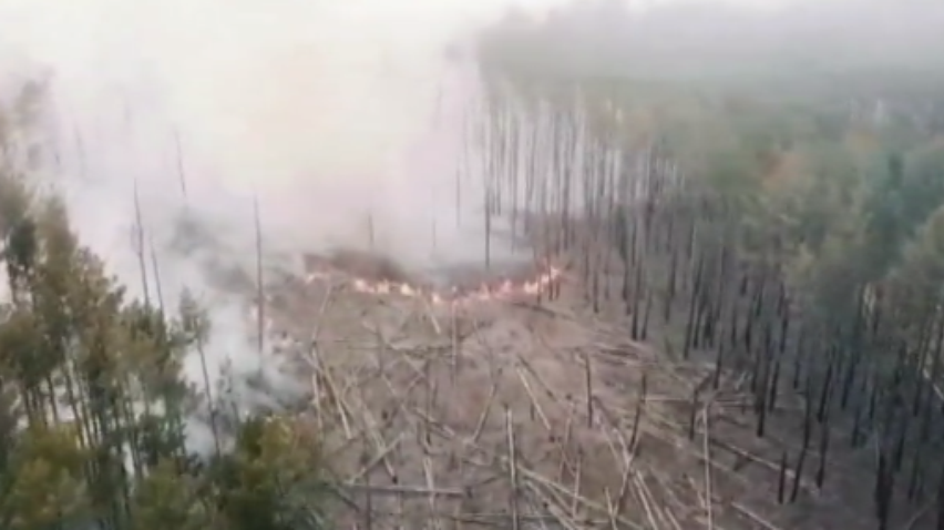 У Чорнобильській зоні продовжують гасити лісову пожежу