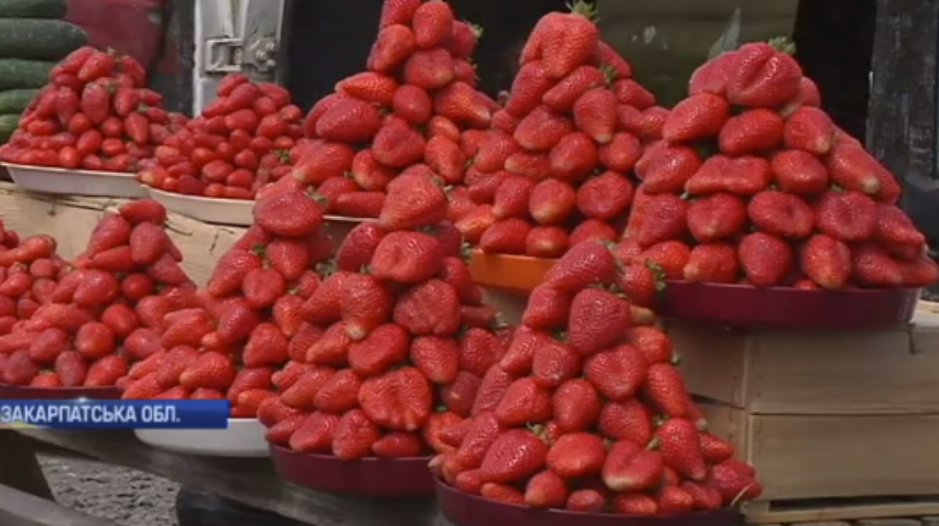 Полуниця в Україні дорожчає: фермери звітують про врожай
