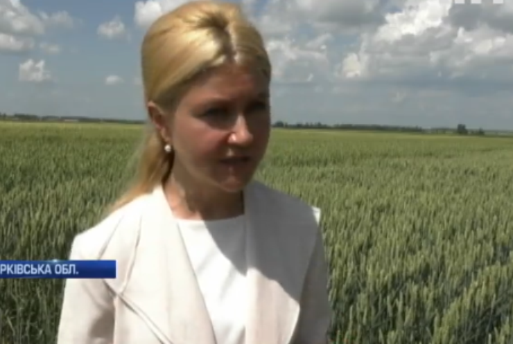 День фермера: Юлія Світлична закликала збільшити дотації українським аграріям