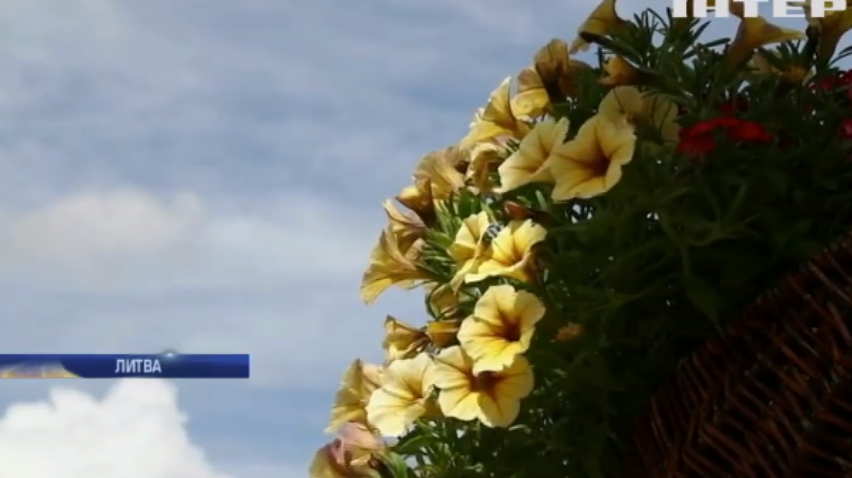 У Литві влаштували квітковий фестиваль у старовинній садибі