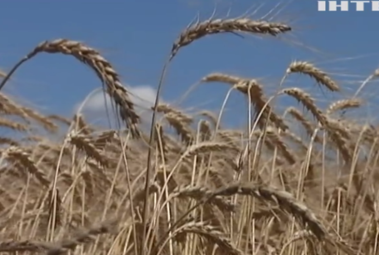 В Україні закликали не допустити прийняття нового податку для аграріїв