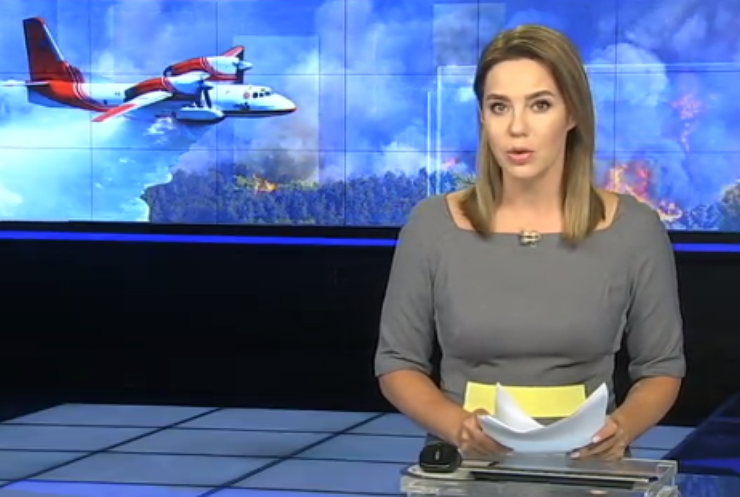 Пожежі на Луганщині: Україна отримала гарантії безпеки для авіації ДСНС