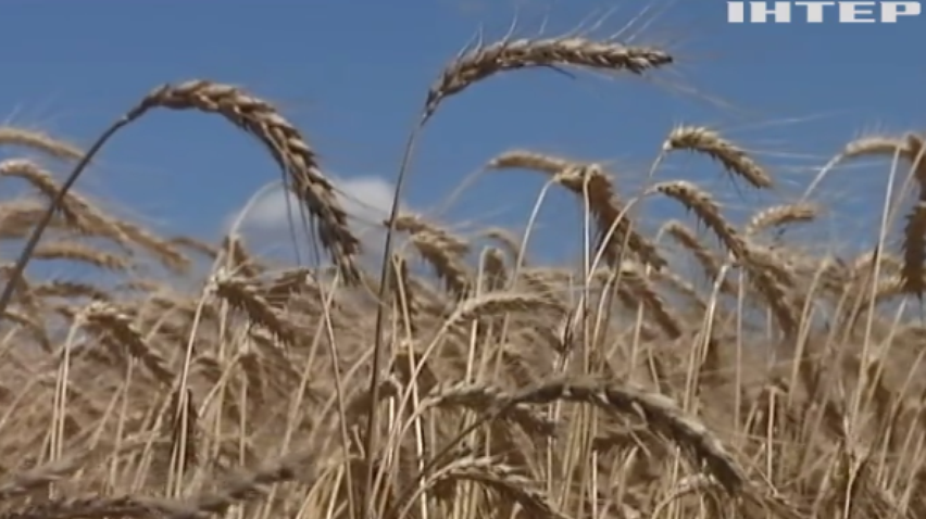 В Україні закликали не допустити прийняття нового податку для аграріїв