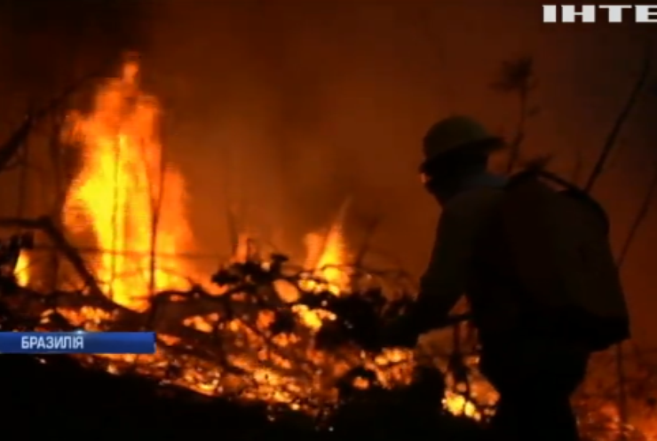 У Бразилії палають ліси Амазонії: нарахували 10 тисяч осередків пожеж