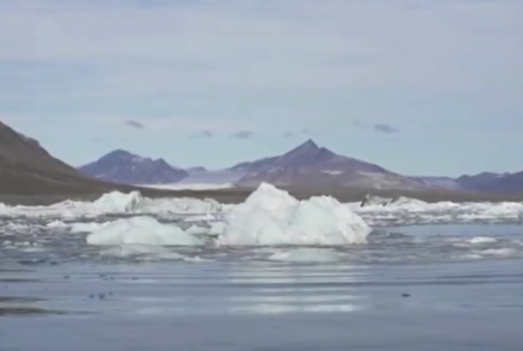 Гігантський айсберг відколовся від шельфового льодовика Гренландії