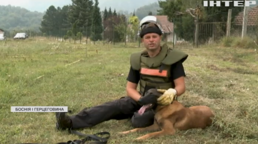 Боснійці тренують собак для розмінування смертоносного залізяччя