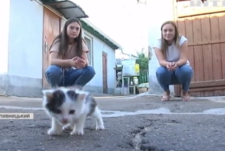 Школярі врятували кошеня та "нарвалися" на заяву у поліцію