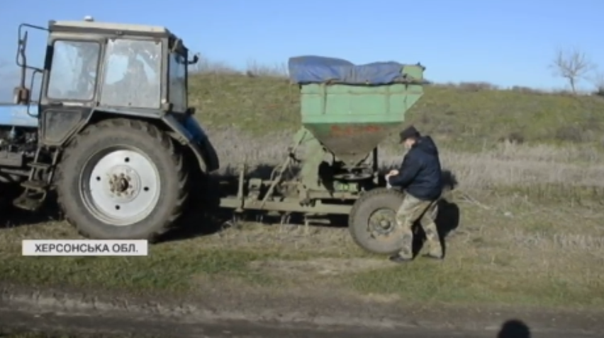 В заповіднику Асканія-Нова вбили унікальних сірих журавлів