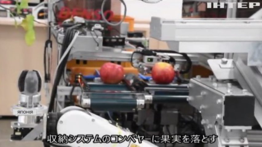В Японії науковці розробили робота-фермера