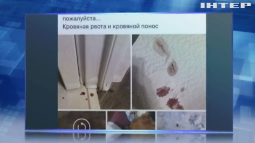 У Києві масово отруюють собак: кому нашкодили чотирилапі?