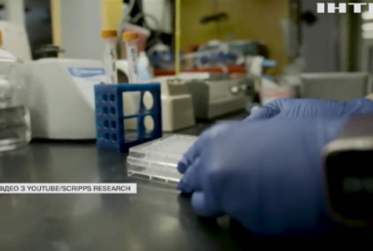 Американські вчені досягають успіху у розробці вакцини проти ВІЛ