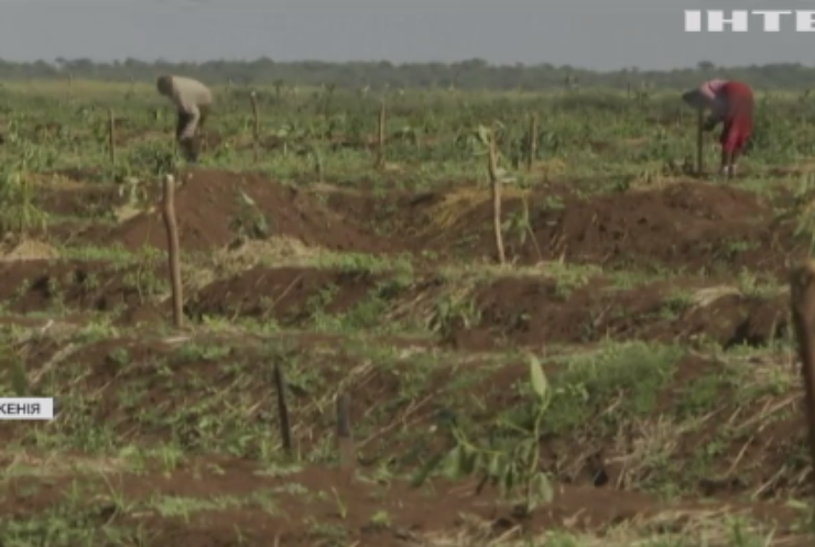 У Кенії фермери загрожують популяції слонів