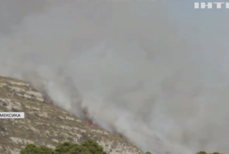 Мексика потерпає від лісових пожеж