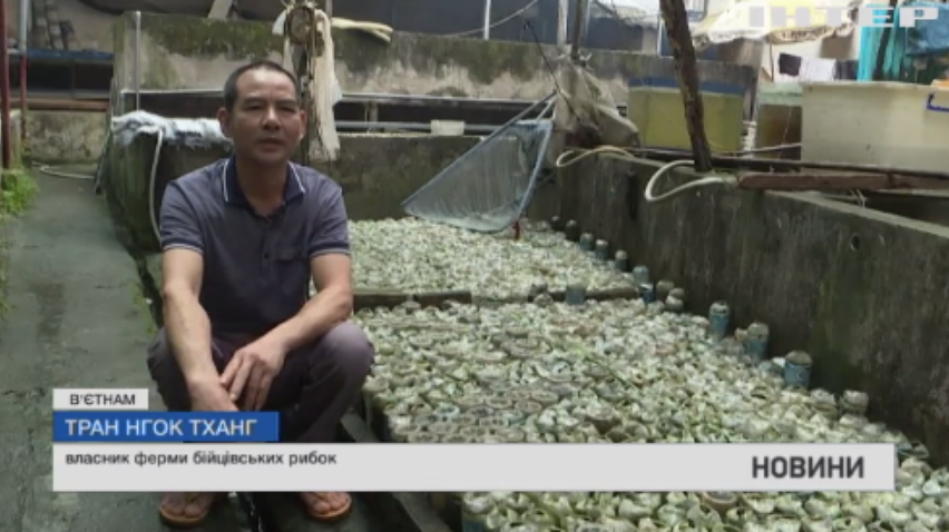 В'єтнамський підприємець розводить рибок у незвичному акваріумі