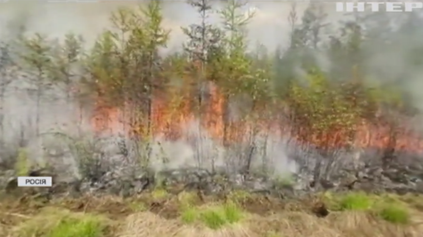 У Росії палають ліса Сибіру