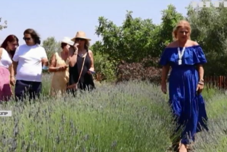 Кіпр заманює туристів запашними та цілющими травами