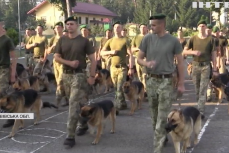 Прикордонники готують службових собак до параду на День Незалежності
