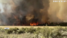 Непогода у світі: США потерпають від масштабних пожеж