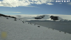 В Антарктиді зафіксували найвищий показник температури повітря