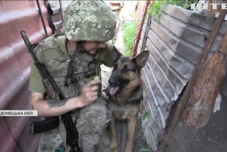Чотирилапі помічники допомагають боронити передові позиції на Донбасі
