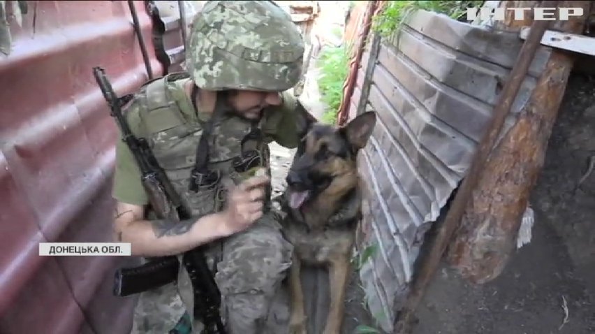Чотирилапі помічники допомагають боронити передові позиції на Донбасі