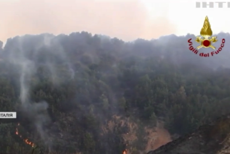 Лісові пожежі в Італії: загинули сотні тварин