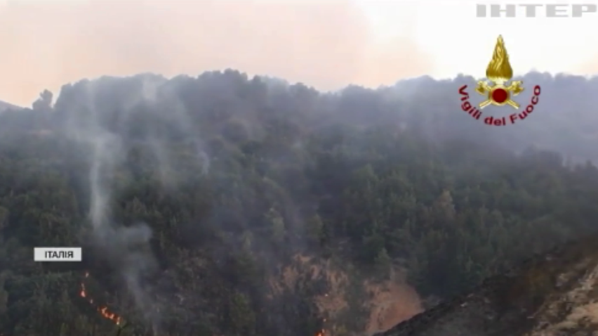 Лісові пожежі в Італії: загинули сотні тварин