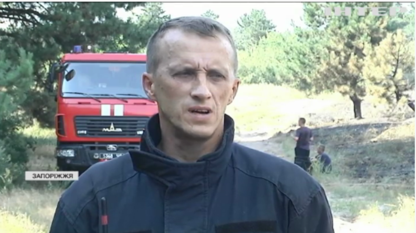 Пожежа на Хортиці: чому рятувальники підозрюють підпал?