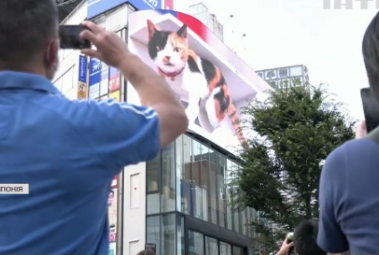 У Токіо розмістили на будинку реалістичне зображення кота