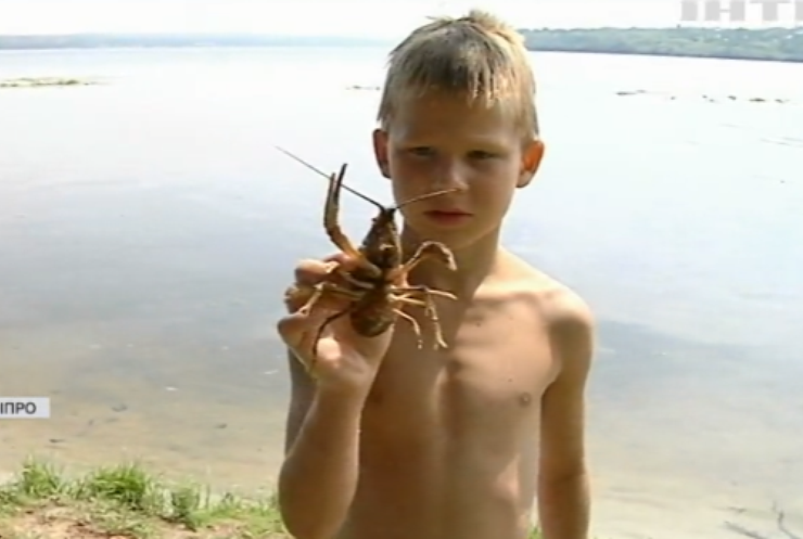 На Дніпропетровщині у водоймах виявили кишкову паличку