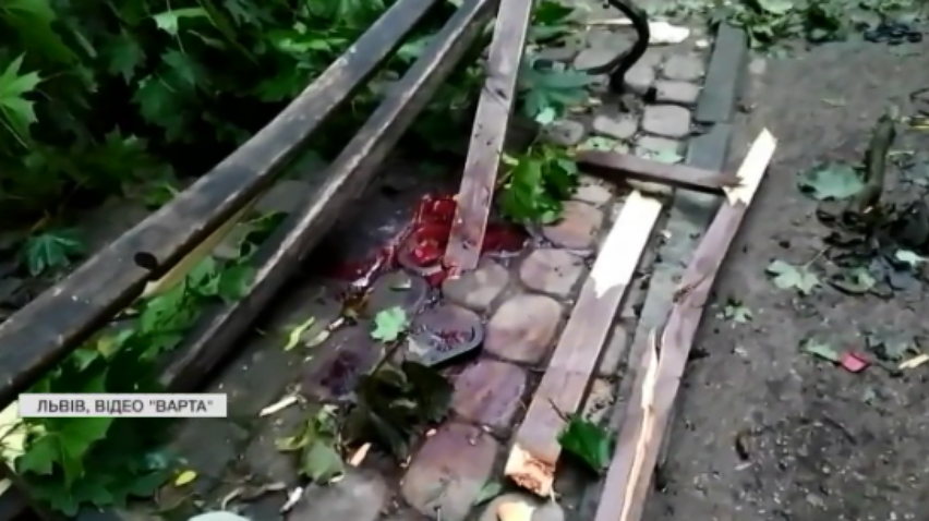 Любов, смерть та дерево: у Львові на побаченні вбило молоду пару