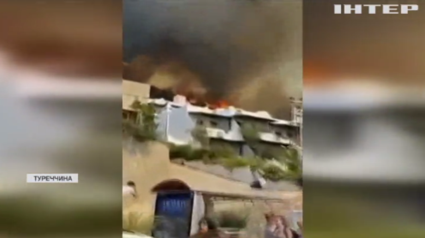 У Туреччині від лісових пожеж загинули вісім людей