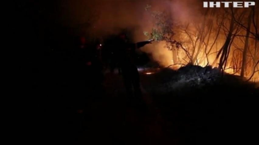 У Греції вирують лісові пожежі: вигоріли десятки будинків