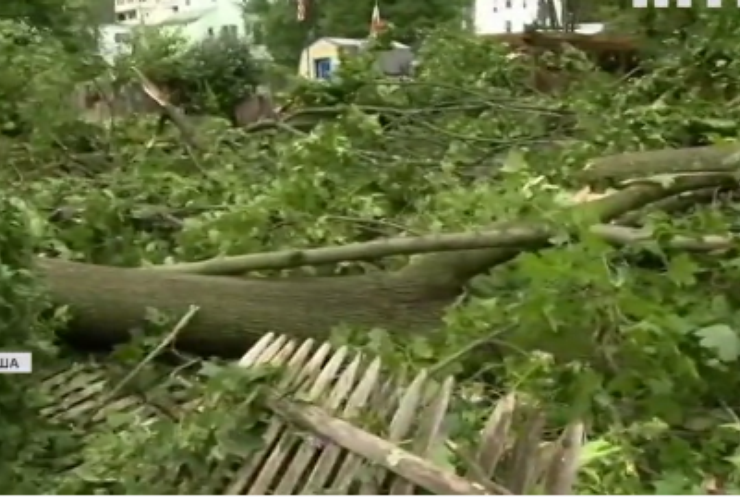 У штаті Нью-Йорк запровадили режим надзвичайної ситуації через ураган "Генрі"