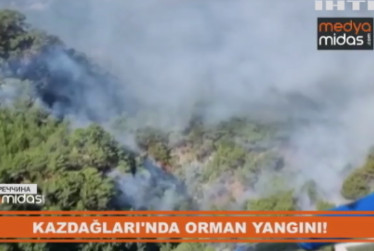 У Туреччині спалахнули нові лісові пожежі