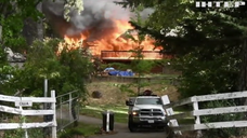 Лісові пожежі у Каліфорнії знищили містечко Грінвіль