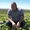 На Запоріжжі фермери рятують врожаї від заморозків